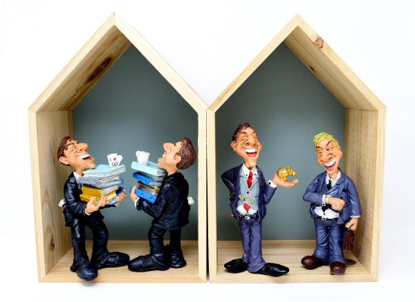 Accounts Maintenance and Finalisation - DD Consultation